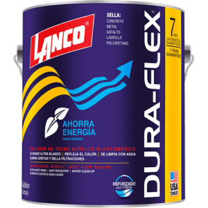 Lanco Dry Coat Penetrating Surface Cleaner (Limpiador no Ácido