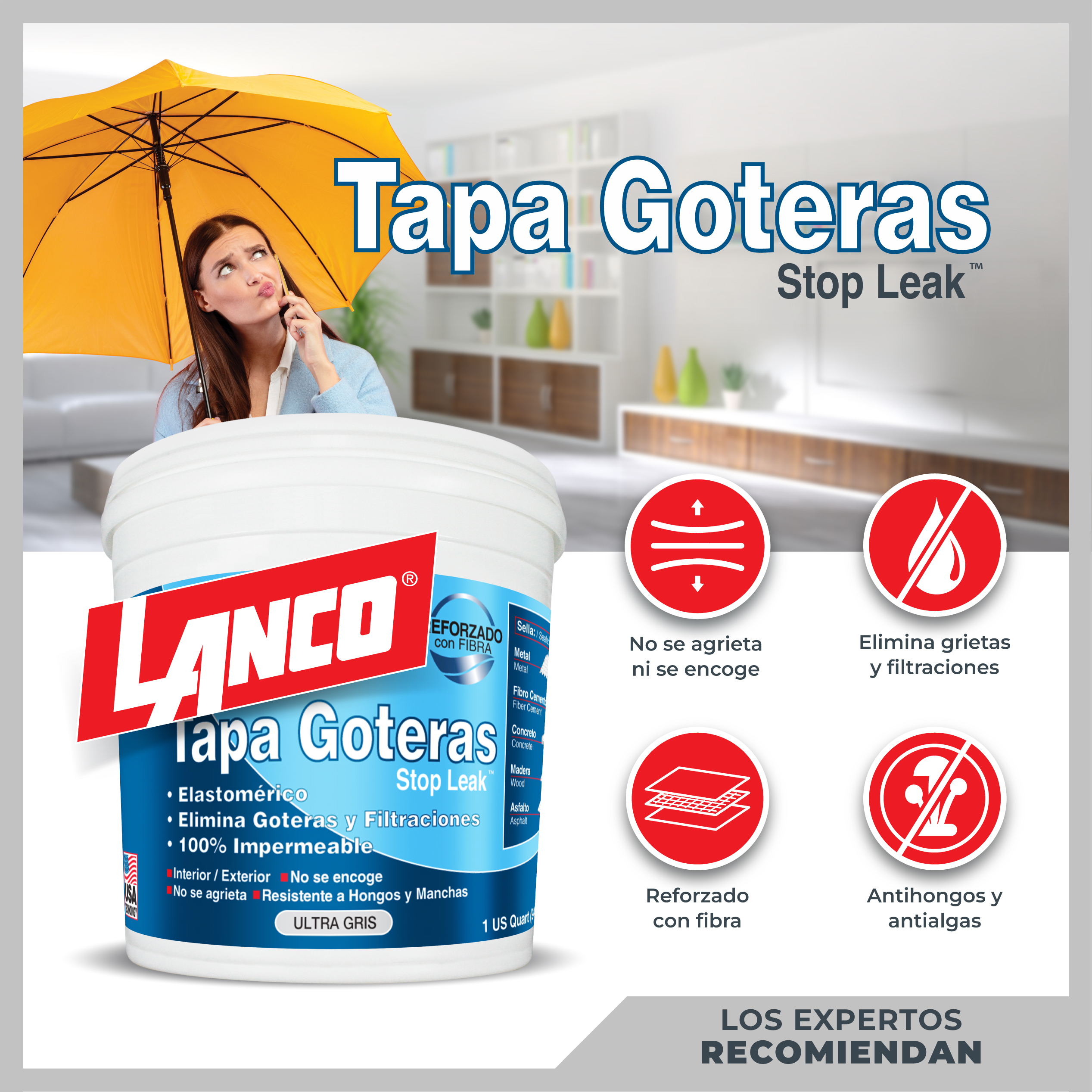 Masilla tapa goteras - Lanco - Image 2