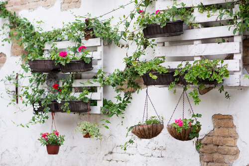 Ideas para decorar tu jardín